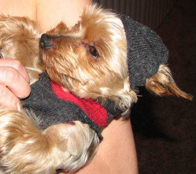 sock3.jpg