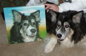 custom dog portraits