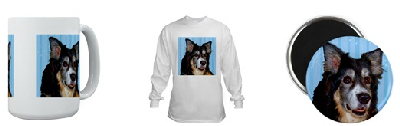 australian shepherd gifts