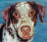 Custom Pet Art