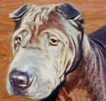Custom Dog Art