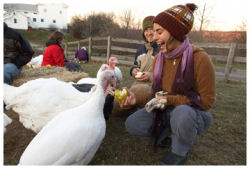 Turkey-free Thanksgiving