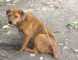 unchain1.jpg