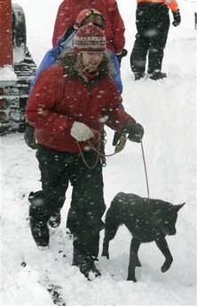 Dog saves people trapped in the snow