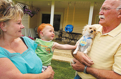 Chihuaha saves child from rattlesnake