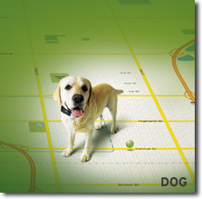 GPS for dogs