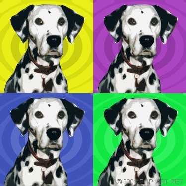 warhol like dalmation portrait