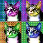Pop art cat portrait Al