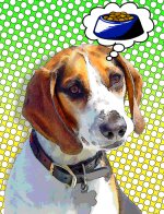 Fun Beagle Art