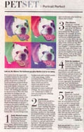 Pop Art Pet and Willow in the Washington Post