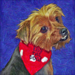 Painterly Yorkie art dog portrait