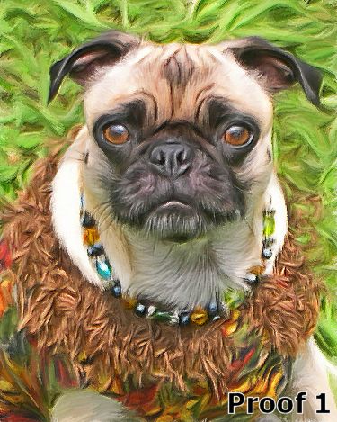 Custom Chinese Pug Art