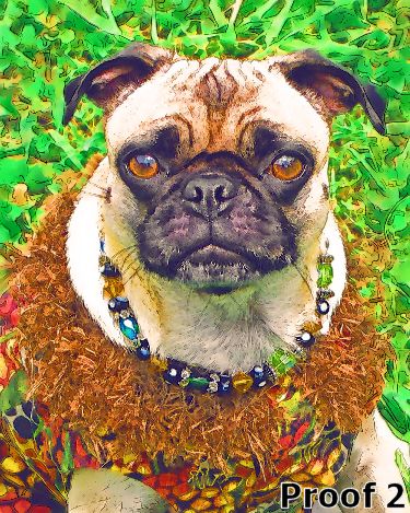 Whimsical Chinese Pug portraits
