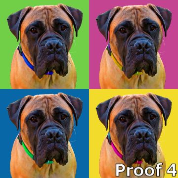  breed specific bull mastiff gifts