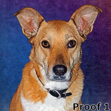 Dog art and gifts