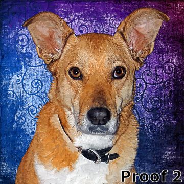 Dog art