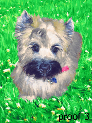 Custom Carin Terrier Art form PopArtPet