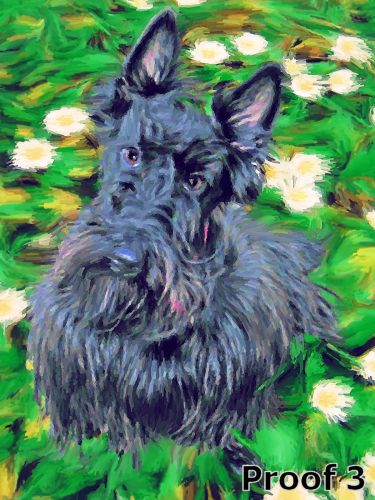 Custom Scottie Art