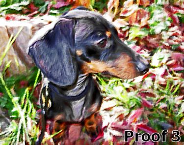 Dachshund whimsical Pop Art Portrait