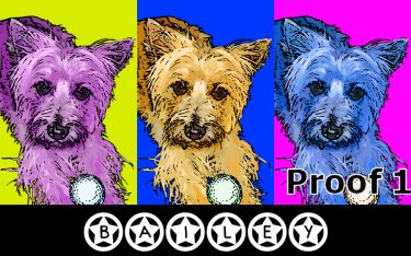 pop art pet portrait carin terrier gifts