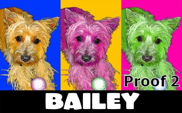 pop art pet portrait Carin Terrier