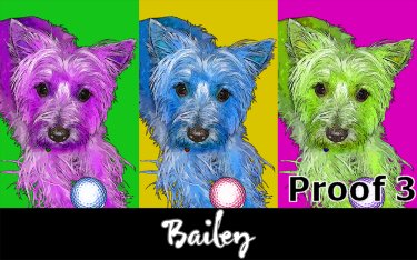 pop art dog portrait Carin Terrier