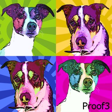pop art portrait dogs