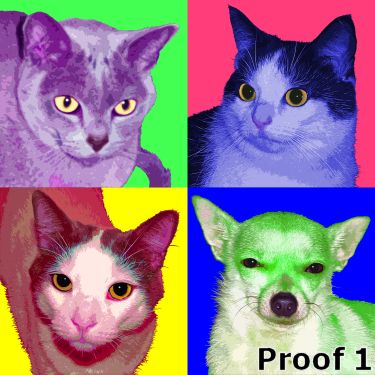 Custom pet art
