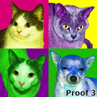 Unique pet art