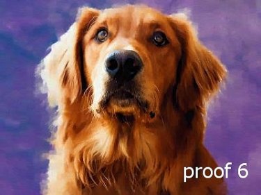 Gifts and Portraits for the Golden Retriever Lover