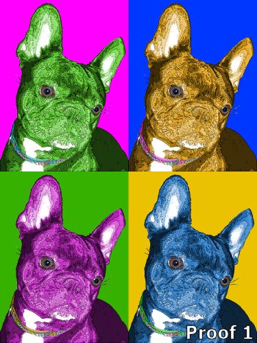 French Bulldog portraits 
