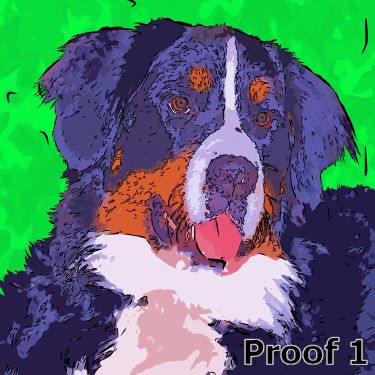 Bernese Mountain Dog pop art and gifts