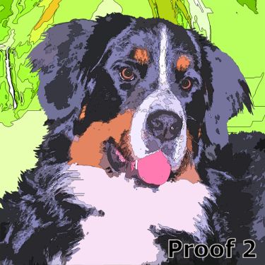 Bernese Mountain Dog pop art