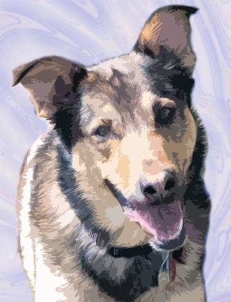 Ben