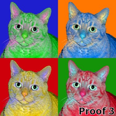 custom cat portrait and gifts