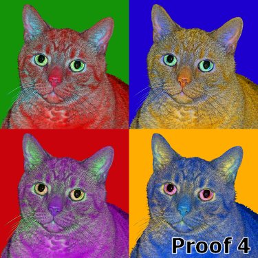 custom cat art
