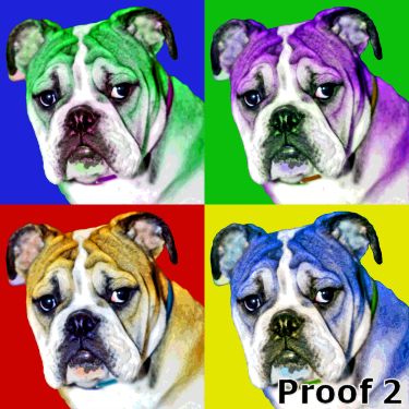 pop art pet bully portrait