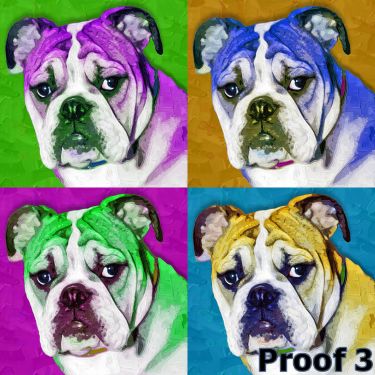 pop art pet english bulldog portrait