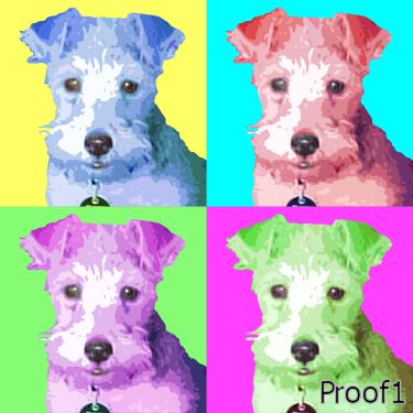 Terrier Puppy Portrait 