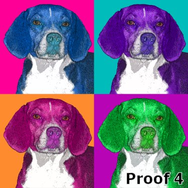  Breed SpecificPortrait Beagle