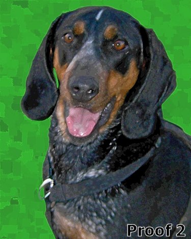 Blue Tick Hound Art