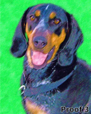 Custom Blue Tick Hound Portraits