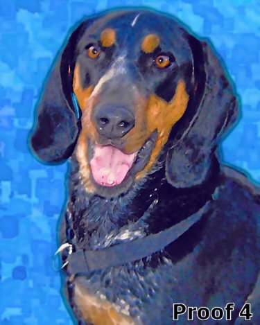 Custom Blue Tick Hound Art