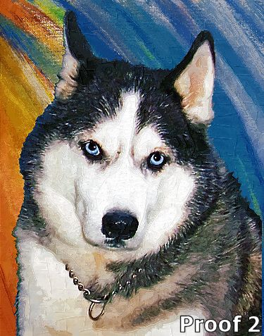 Custom Siberian Husky Art