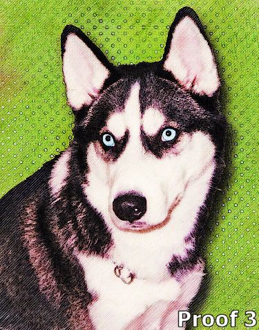 Custom art Siberian Husky