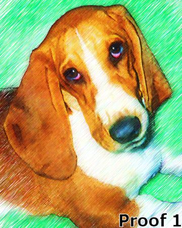 Bassett hound art