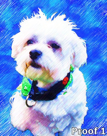 Custom dog gifts