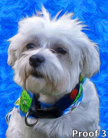 Custom dog portrait