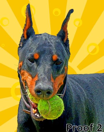 Doberman Pinscher Art Portrait