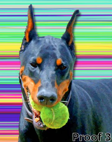Warhol inspired Dobie Art Portraits